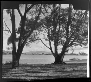 Lake Rotoroa, Hamilton