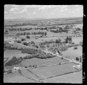 Puriri, Thames-Coromandel District, Waikato