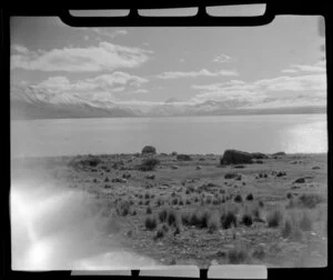 Mount Cook and Lake Pukaki, showing sheep and grass area