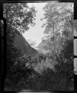 Fox Glacier, West Coast Region from Glacier Road