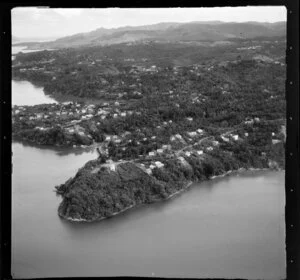 French Bay, Titirangi waterfront, Auckland, including housing