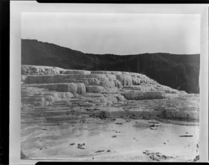 Pink Terraces, Lake Rotomahana, Rotorua