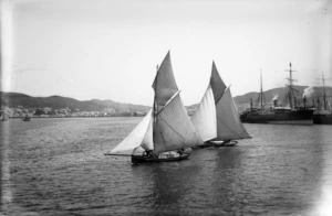 Yachts racing on Wellington Harbour