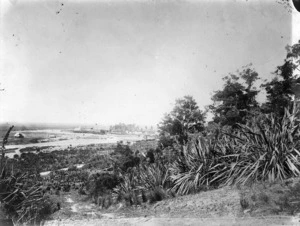 View of Geraldine taken from a distance