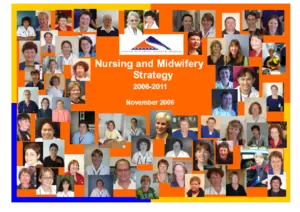 Nursing and midwifery strategy, 2006-2011 [electronic resource] / G. Lees.