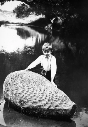 Eel-basket (hinaki) constructed of tokororaro vine, at the Hokio Stream. Mua-upoko craftmanship. 29 November 1925