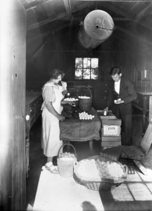Three people weighing and packing eggs