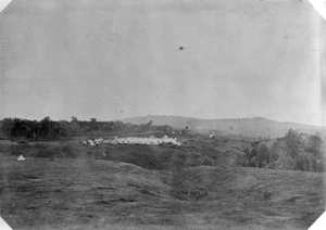 Selby's Farm, Pokeno, Waikato, showing an Imperial forces camp