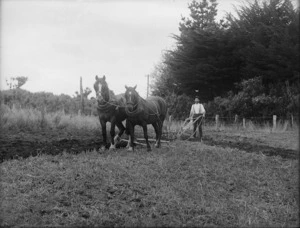 Photograph of a man ploughing