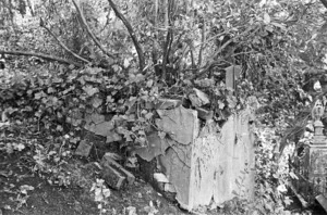 The grave of Jean Harrietta Borer and the Arrowsmith family, plot 1304, Bolton Street Cemetery