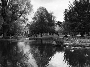 Duck pond and trees in Waikoko Gardens in the Tomoana Showgrounds, Tomoana, Hastings district