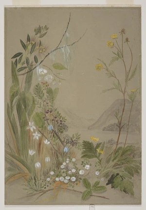 Harris, Emily Cumming 1837?-1925 :[Pohutukawa, clematis, bluebell, snowberry and ranunculus. 1890s?]