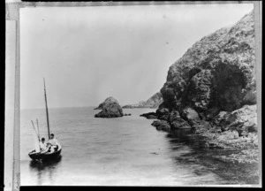 Coast of Somes Island, with the yacht Rewa on the left