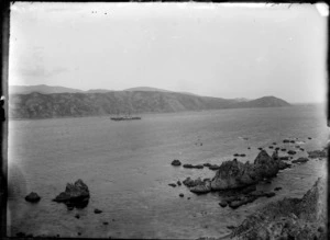 Wellington Heads being entered by Steamship Hinemoa