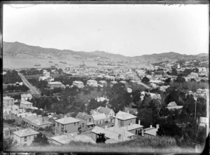 View looking across Thorndon from Wadestown Road