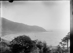 View from a hill above Days Bay, Eastbourne, Lower Hutt