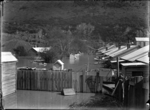 The backs of houses in Saunders Lane, Thorndon, Wellington, under flood