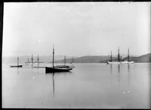 The ship Xarifa in Wellington harbour
