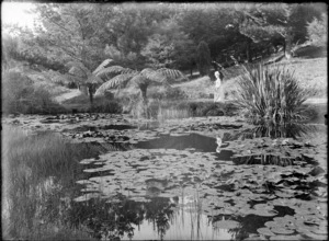 Pond with waterlilies and flax
