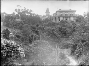 View from a bush-covered gully looking up towards some large wooden houses, including one with a turret on Kinross St, Wellington