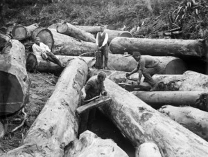 Timber workers working on logs in the Northland region