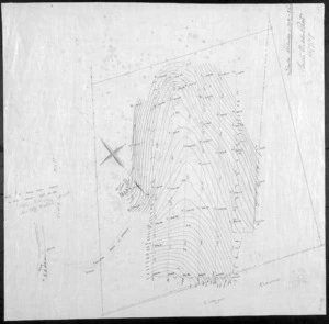 [Crichton McKay] :[Contour plan of site for Ewart Hospital for Infectious Diseases, Coromandel Street, Newtown]. Proposed track or approach. Town Belt. [Wellington] College Reserve. Seaton, Sladden & Pavitt. 26 July 1917