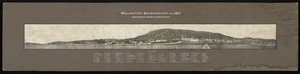Creator unknown: Panoramic view of Wellington taken by William Henry Whitmore Davis
