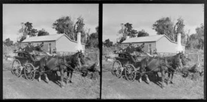 Horse-drawn wagon with adults and chidren, Catlins, Otago