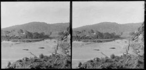 House [Riverside Cottage?] amidst native forest near river, Catlins area, Clutha District, Otago Region