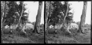 Cottage set back in trees [Riverside Cottage?], Catlins area, Clutha District, Otago Region