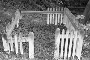 The Horner family grave, plot 1109, Bolton Street Cemetery