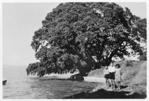 Pohututaka, Kawhia