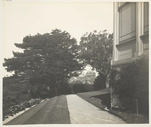 Gardens of Government House, Wellington