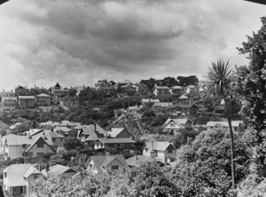 Houses in The Glen, Kelburn, Wellington