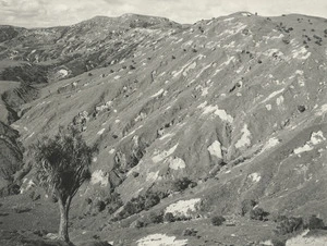 Soil erosion on ranges east of Lake Tutira, Hawke's Bay region - Photograph taken by John Dobree Pacoe