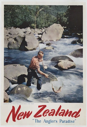 Pictorial Publications Ltd :New Zealand, "the angler's paradise". Landing an 8 1/2 lb brown trout in the Cleddau River, Otago. [1960s?]