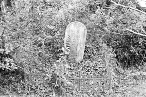 Unidentified grave, Bolton Street Cemetery