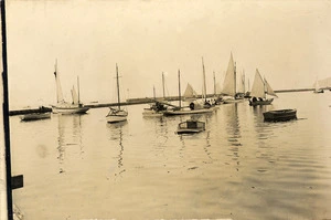 Yachts on Wellington Harbour