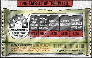 The impact of Palm oil