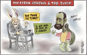 The cyber attacker & the turtle