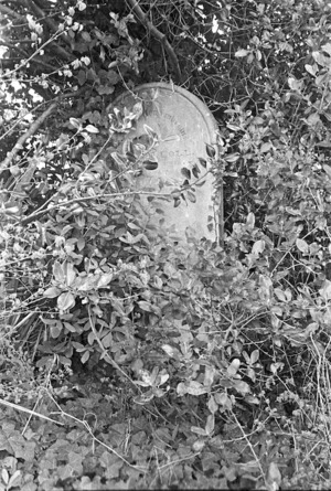 The McColl family grave, plot 0714, Bolton Street Cemetery