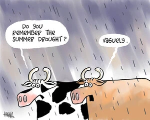 "Do you remember the summer drought?" "Vaguely." 28 July, 2008