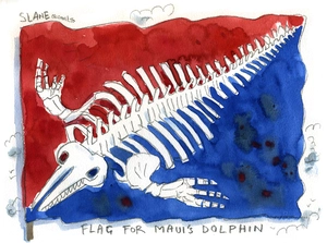 Flag for Maui's Dolphin