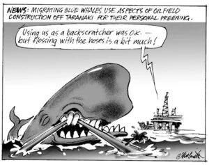 News - Migrating blue whales use aspects of oilfield construction off Taranaki for their personal preening. "Using us as a backscratcher was O.K. - but flossing with the hoses is a bit much!" 15 October, 2008.