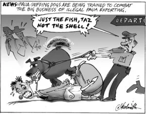 News. Paua-sniffing dogs are being trained to combat the big business of illegal paua exporting. "Just the fish, Taz not the shell!" 19 July, 2006