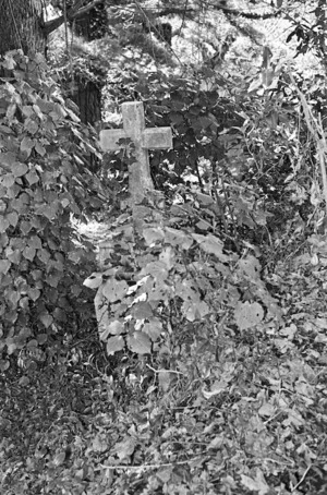 The grave of Edward Crosholz, plot 1302, Bolton Street Cemetery