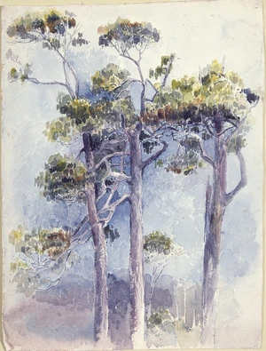 [Hodgkins, Isabel Jane] 1867-1950 :[Tree study, possibly of rimu. 1890s?]