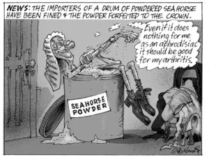 News. The importers of a drum of powdered seahorse have been fined & the powder forfeited to the crown. "Even if it does nothing for me as an aphrodisiac it should be good for my arthritis." 2 May 2007