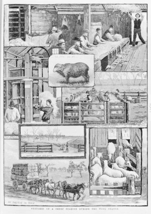 Illustrated New Zealand News: Sketches of a sheep station during the wool season. Illustrated New Zealand News, 24 December, 1883.
