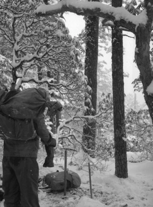 Yunnan, China. Camp in the pines under snow. 11 November, 1938.